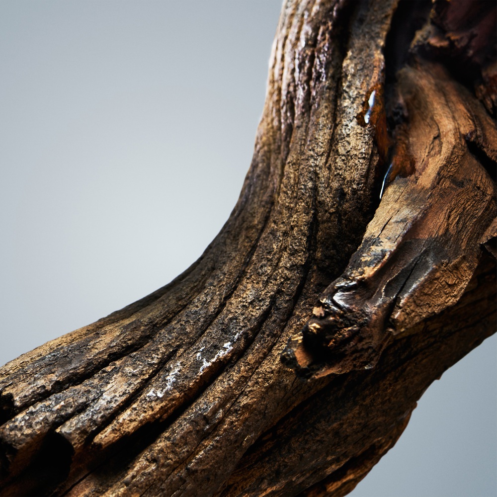 Boss Bottled, After Shave Lotion