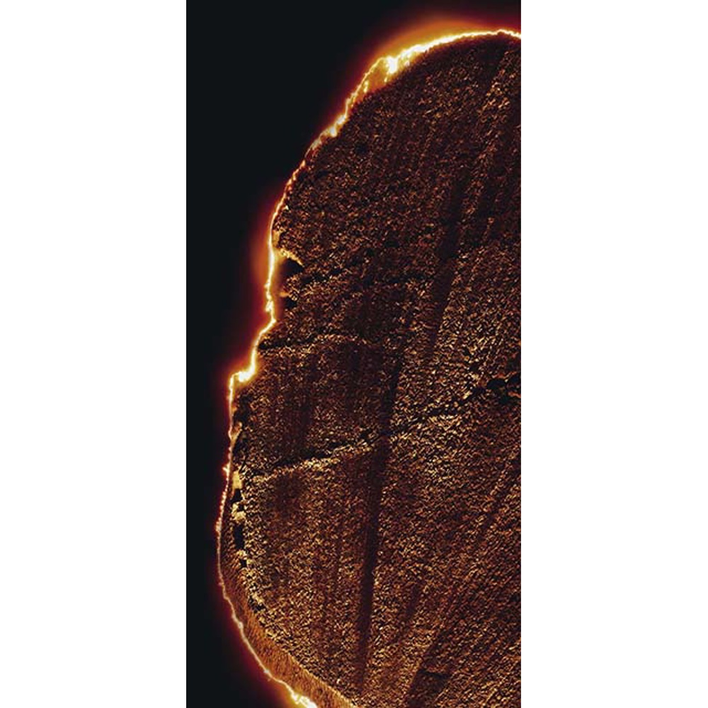 L'Homme Intense, EdP