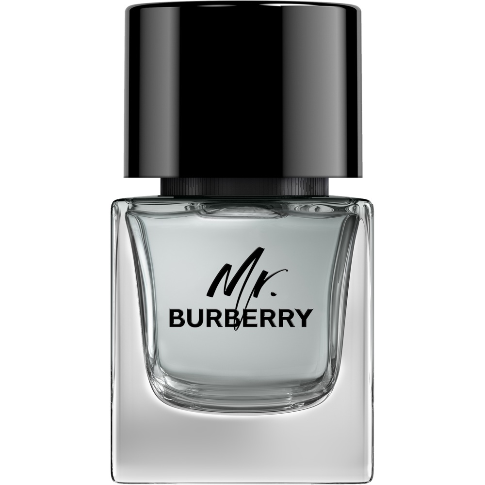 Mr. Burberry, EdT