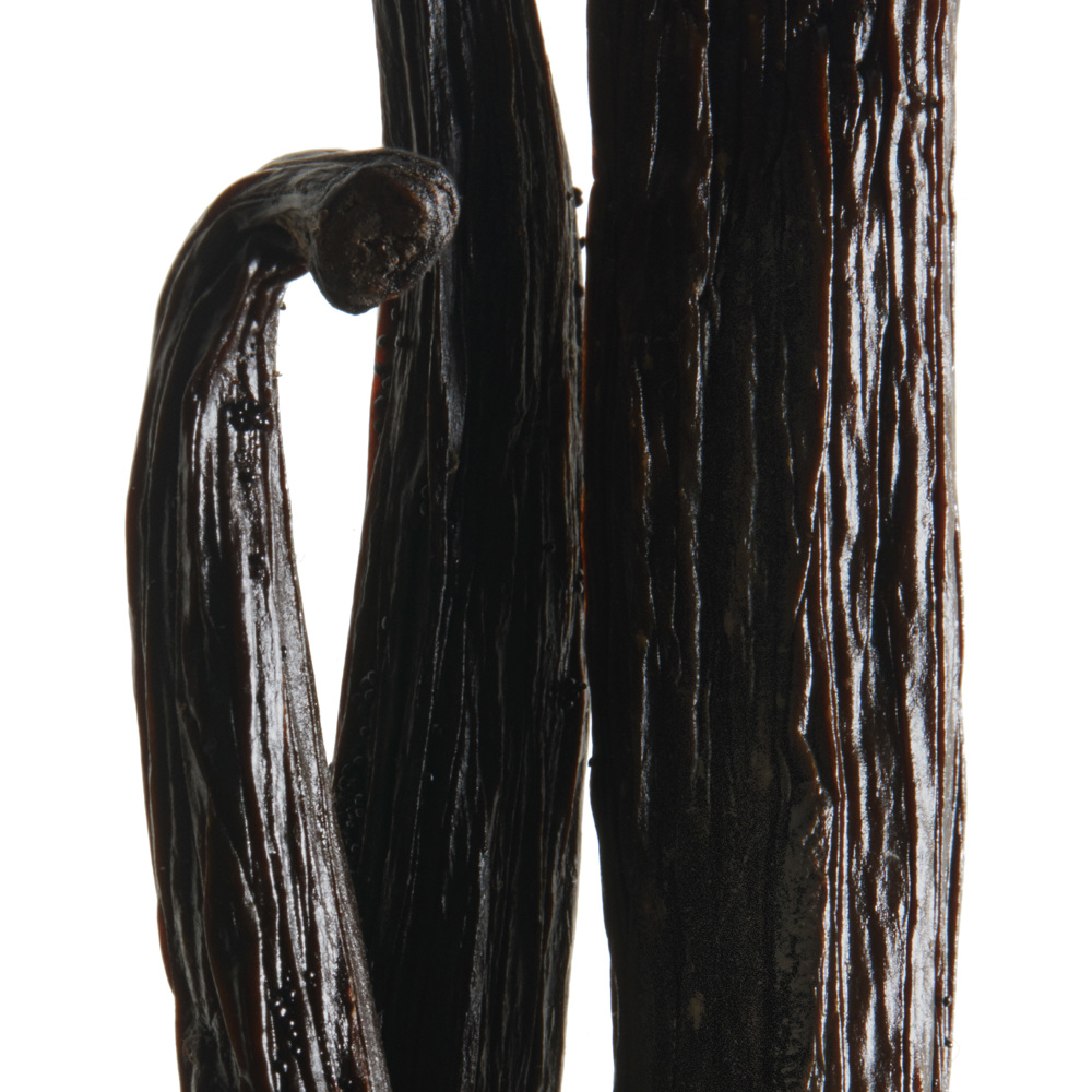 La Nuit De L'Homme Eau Electrique, EdT