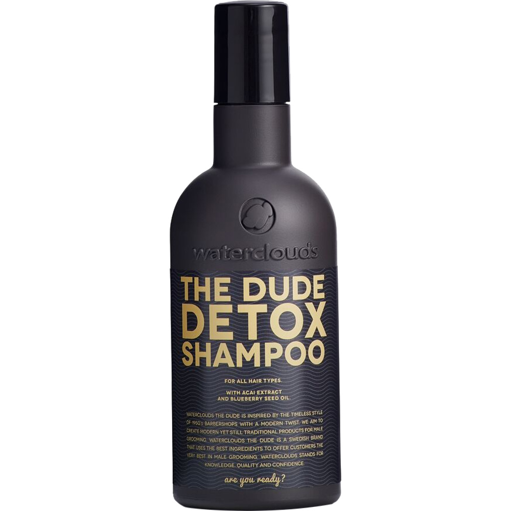 The Dude Detox Shampoo