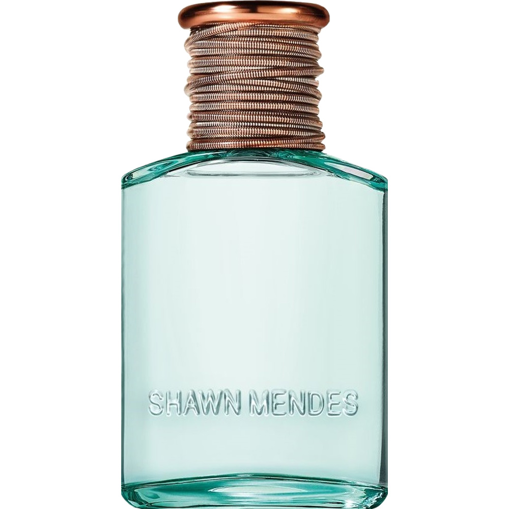 Shawn Mendes Signature, EdP