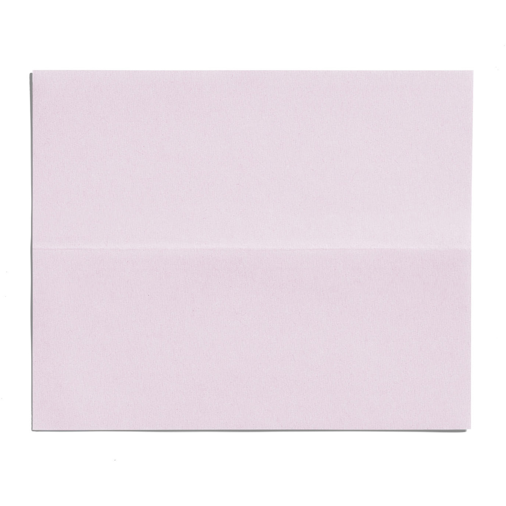 Oil-Control Blotting Paper, 100 sheets