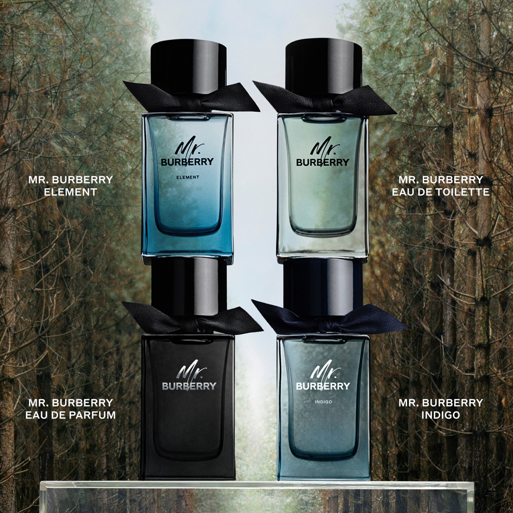 Mr. Burberry Element, EdT