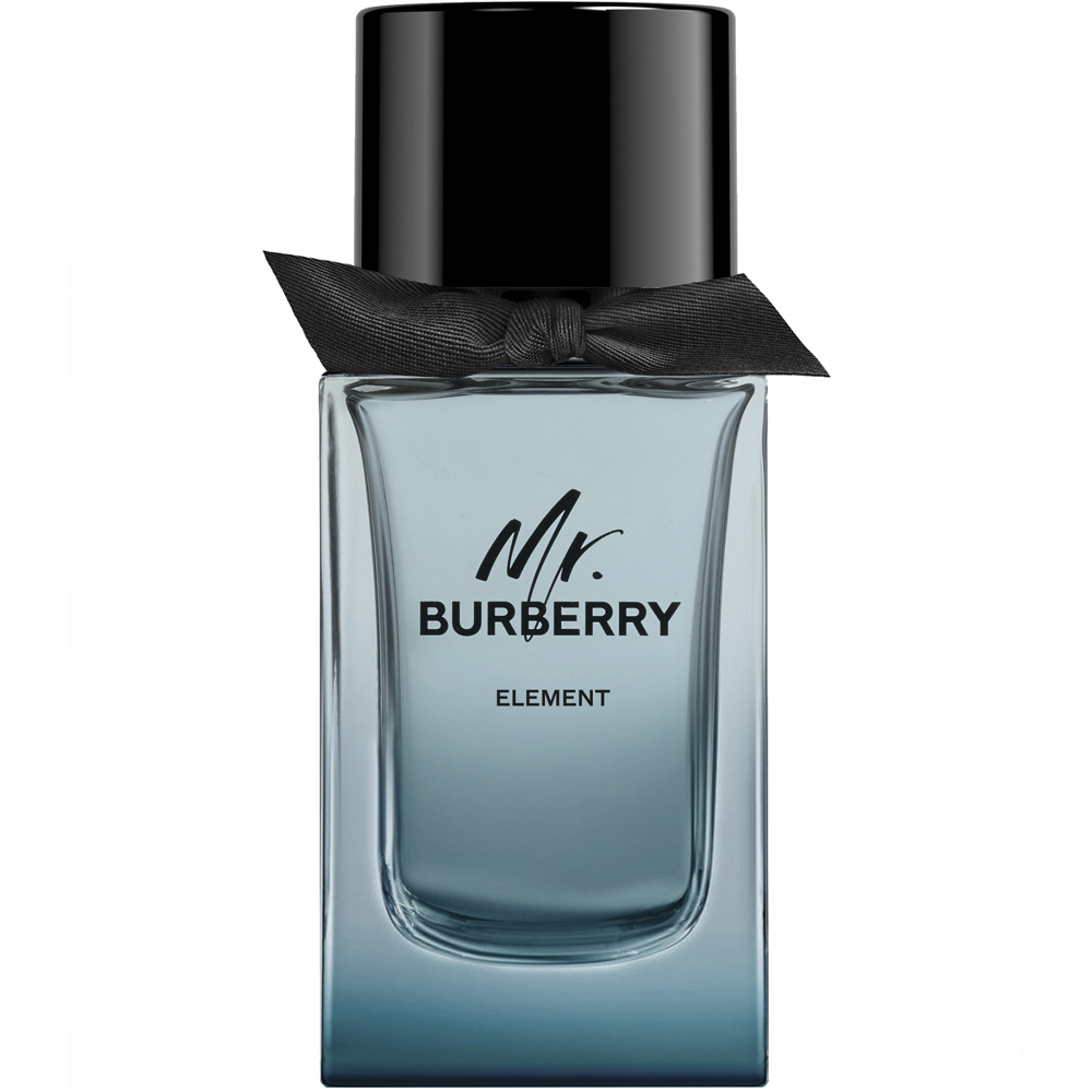 Mr. Burberry Element, EdT