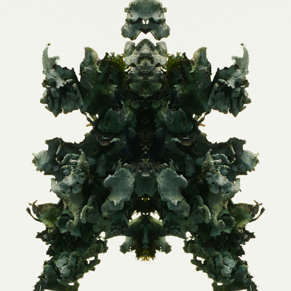 Mr. Burberry Element, EdT