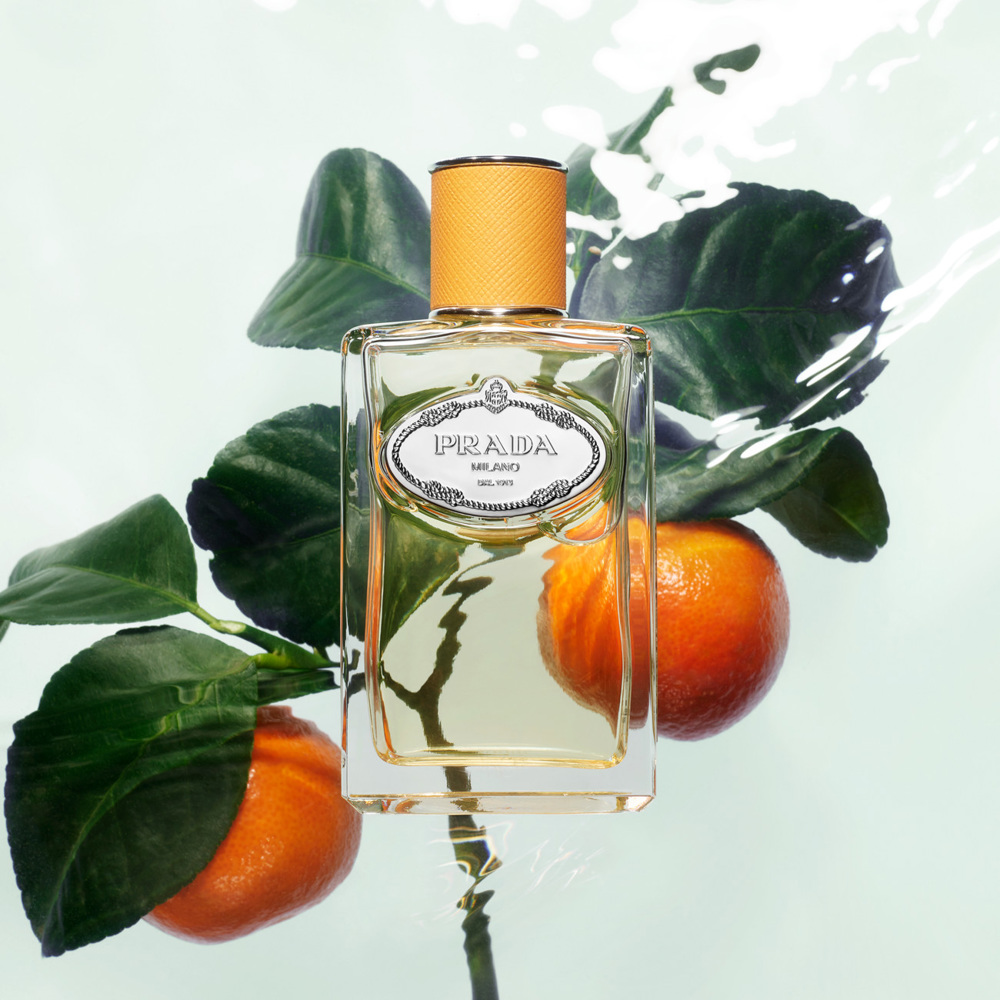 Infusion de Mandarine, EdP 100ml