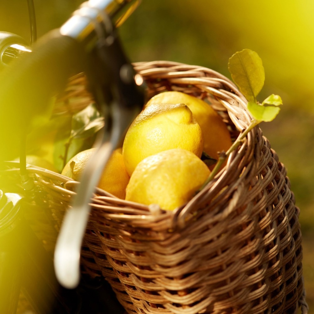 Replica Under the Lemon Trees, EdT