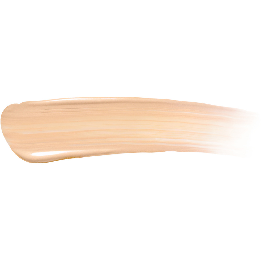 Cover Up Long-Wear Cushion Concealer