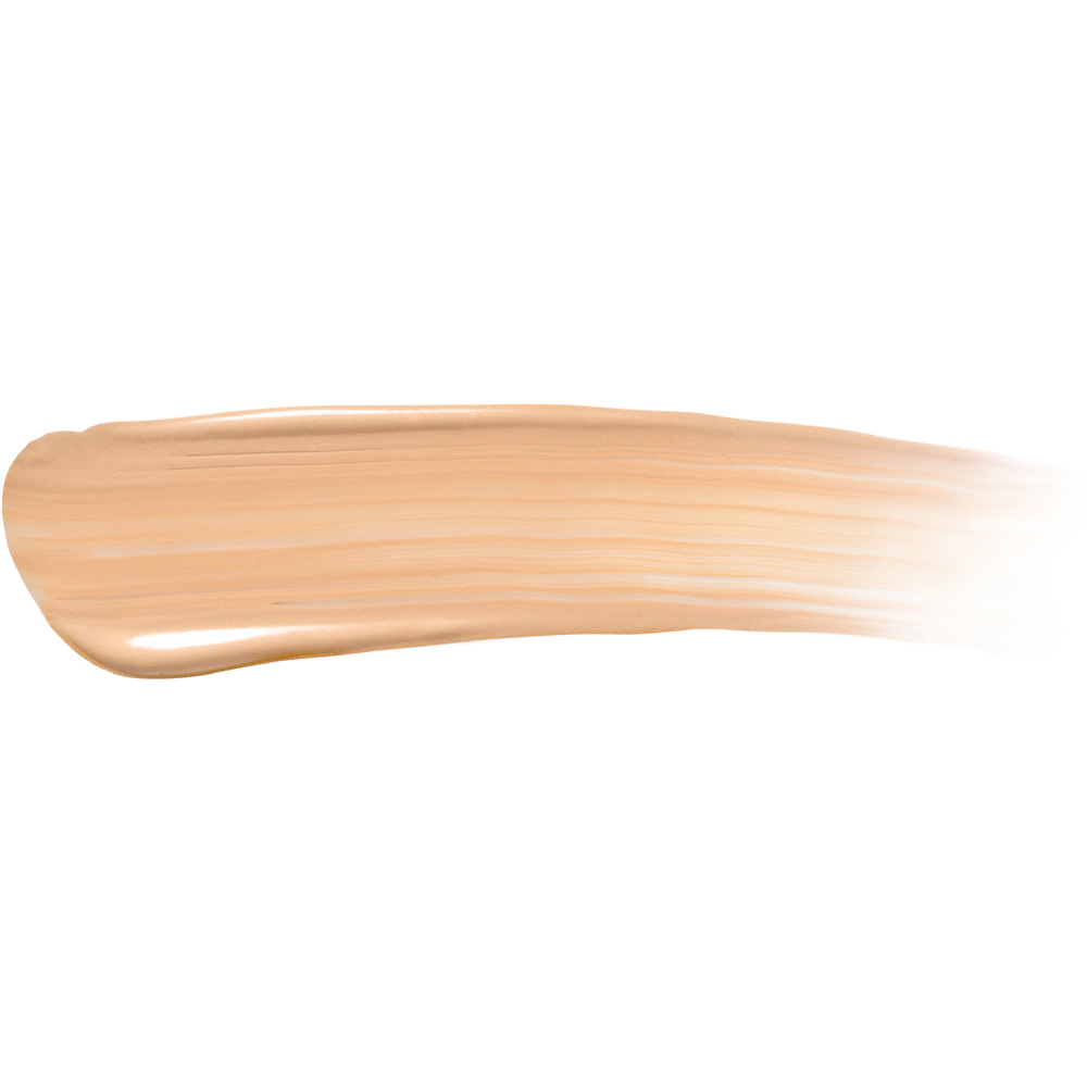 Cover Up Long-Wear Cushion Concealer