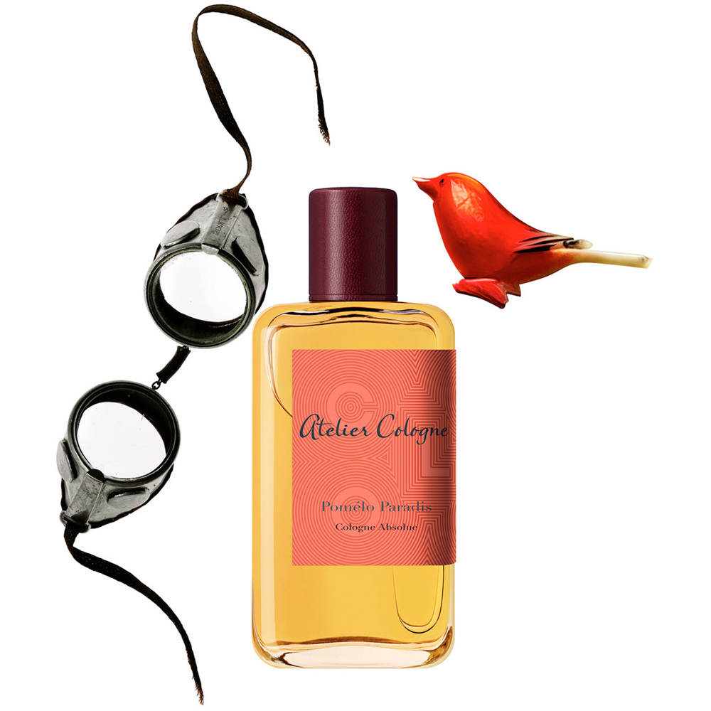 Pomélo Paradis, EdC