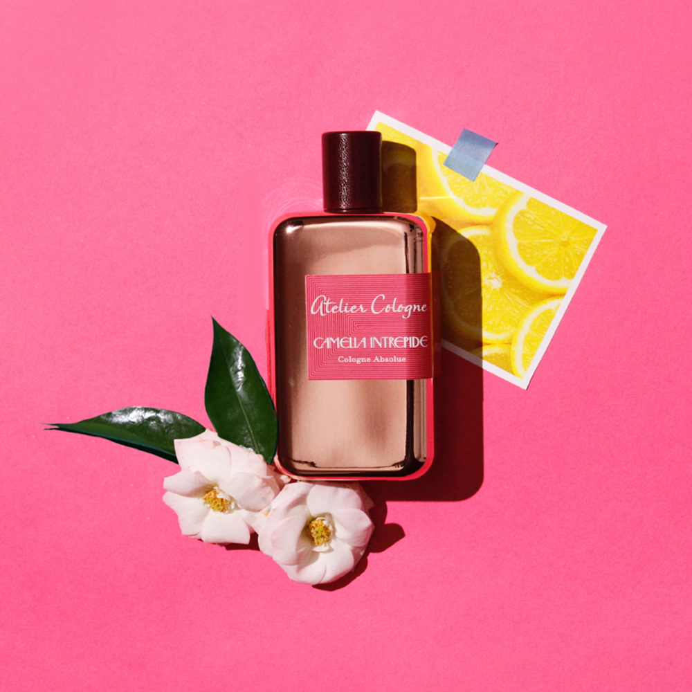 Camélia Intrépide, EdC