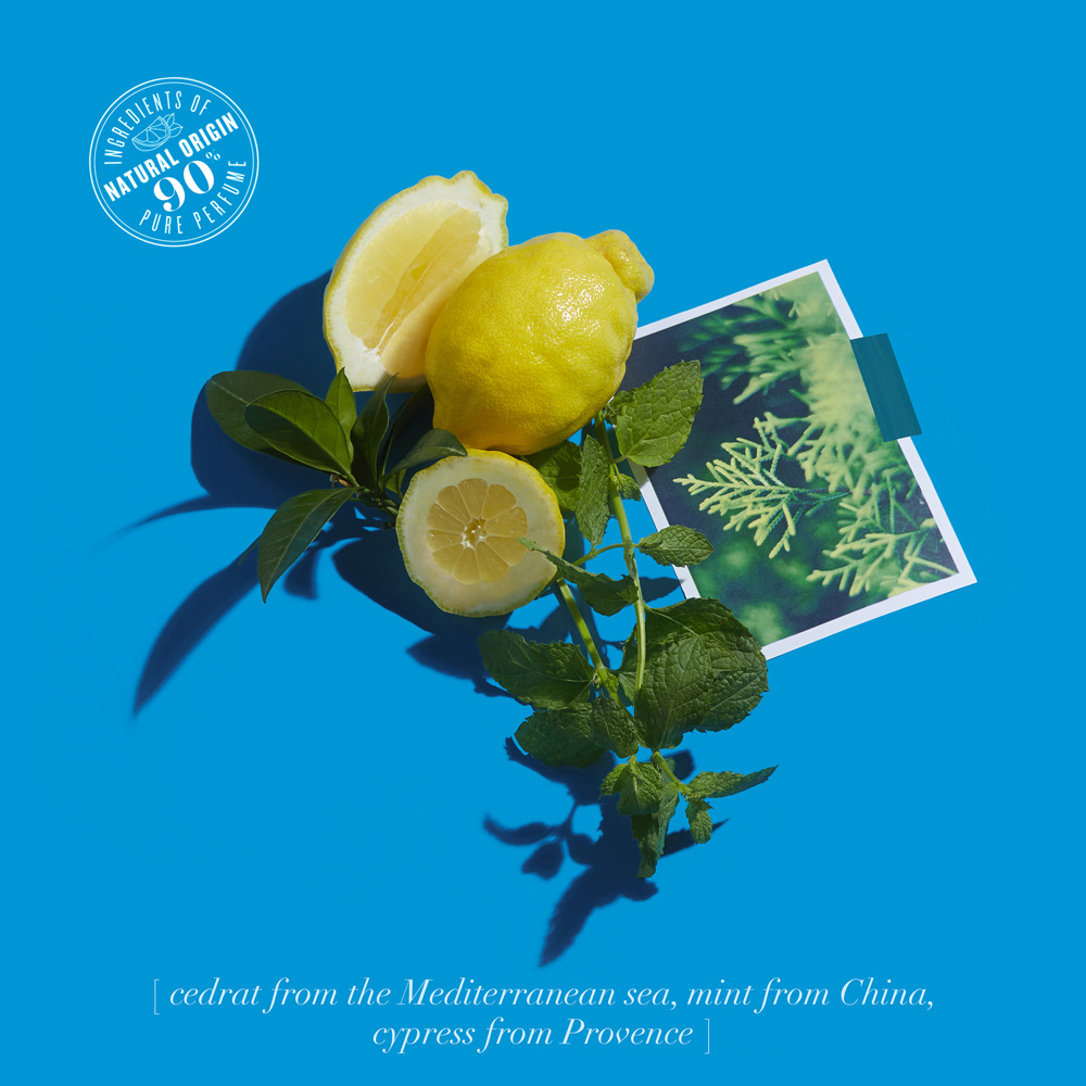 Cédrat Enivrant, EdC