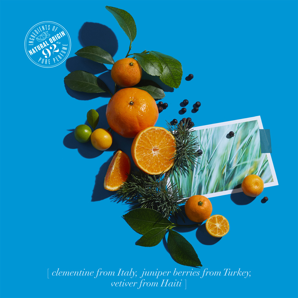 Clémentine California, EdC