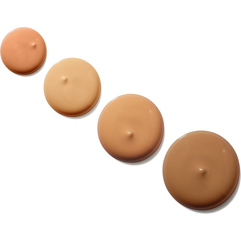 Conceal + Perfect All In One Concealer Kit