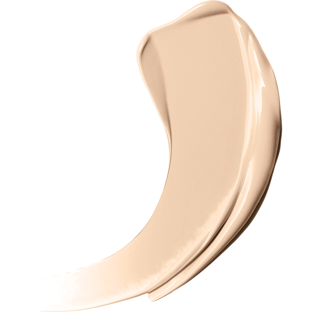 Conceal + Perfect 2 in 1 Foundation