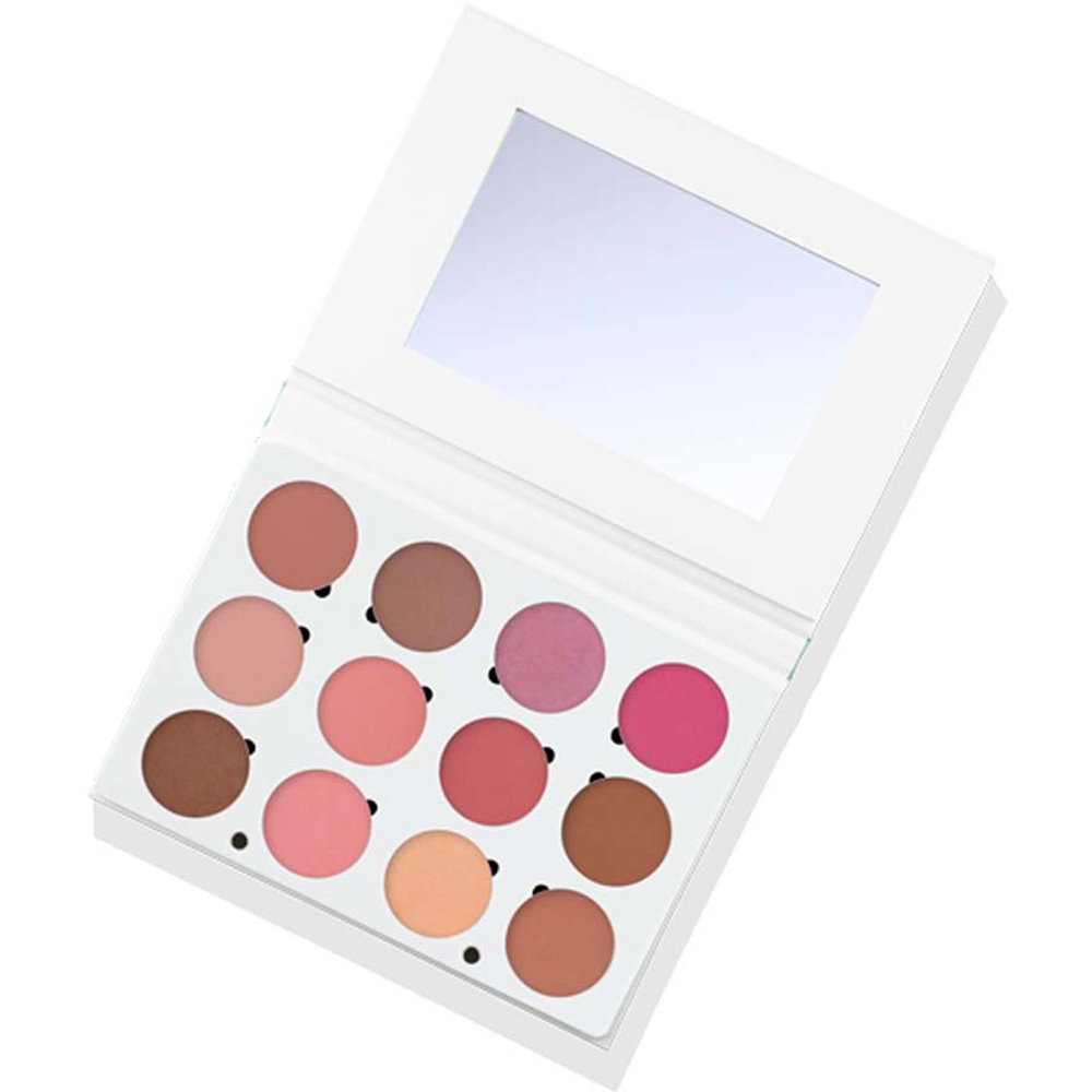 Professional Blush Palette