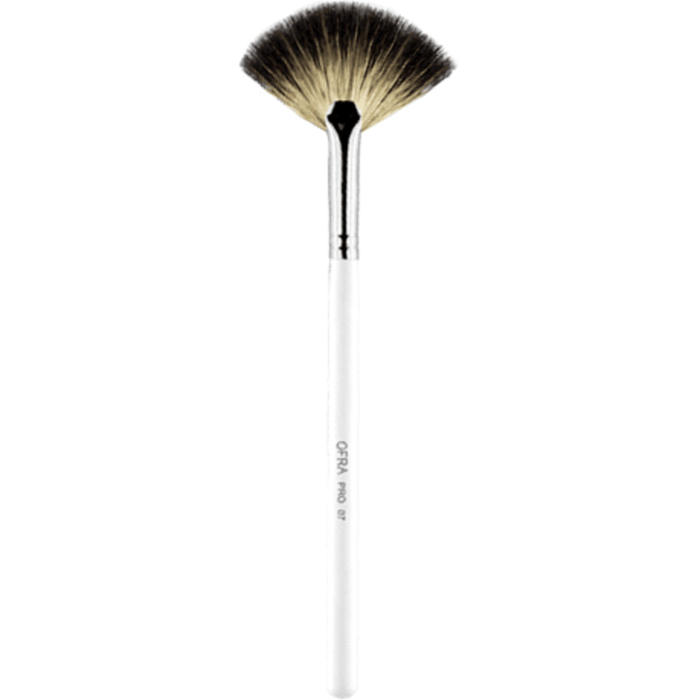 Highlighting Fan Brush