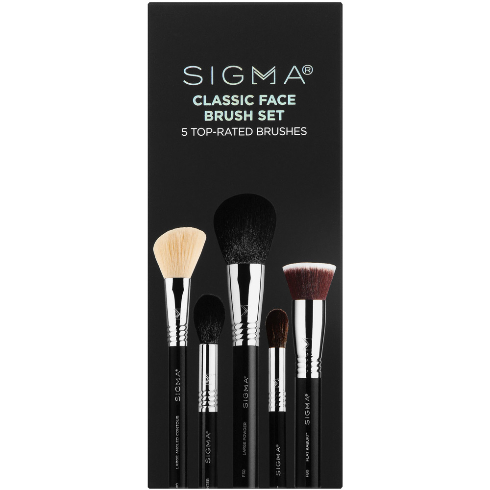 Classic Face Brush Set