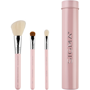 Essential Trio Brush Set - Light Pink