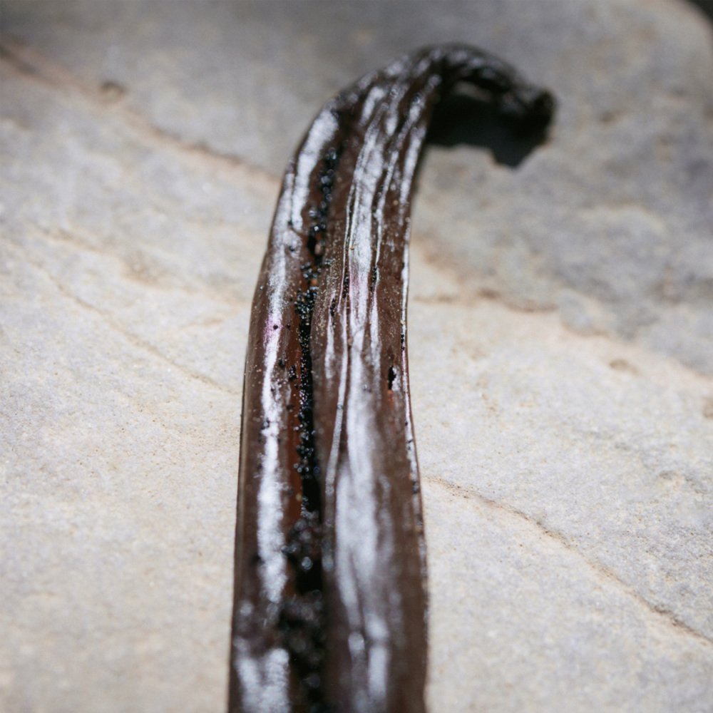 Nomade Jasmin Naturel, EdP