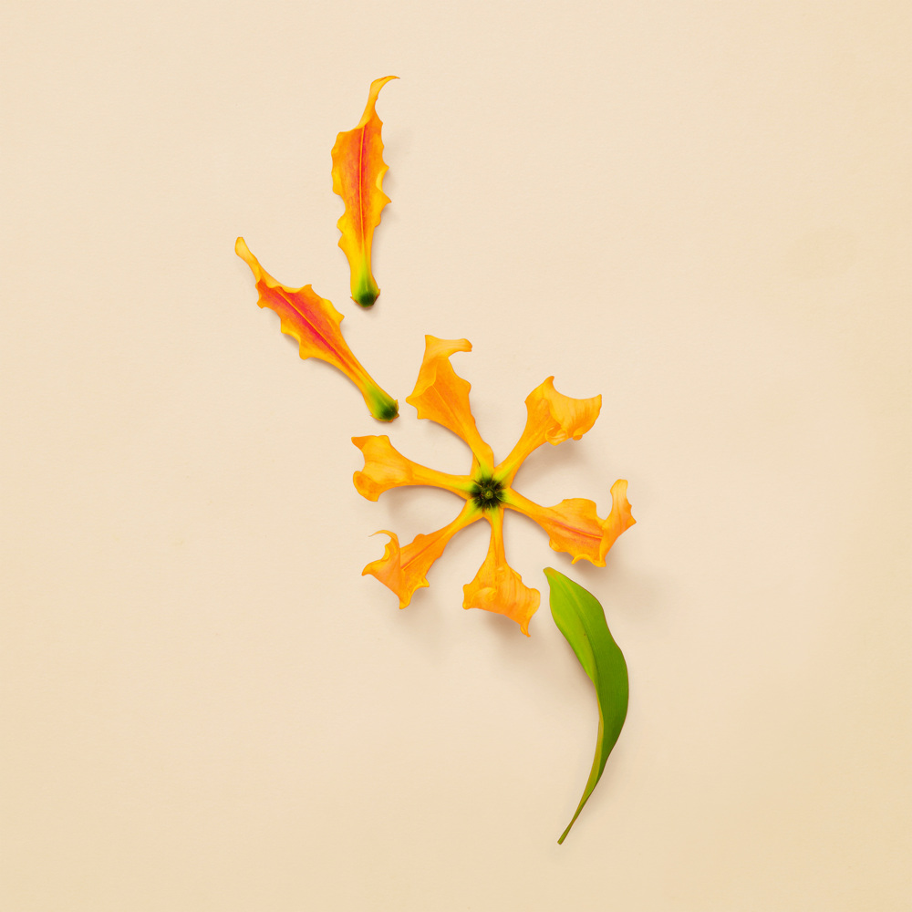 Guilty Pour Femme Intense, EdP