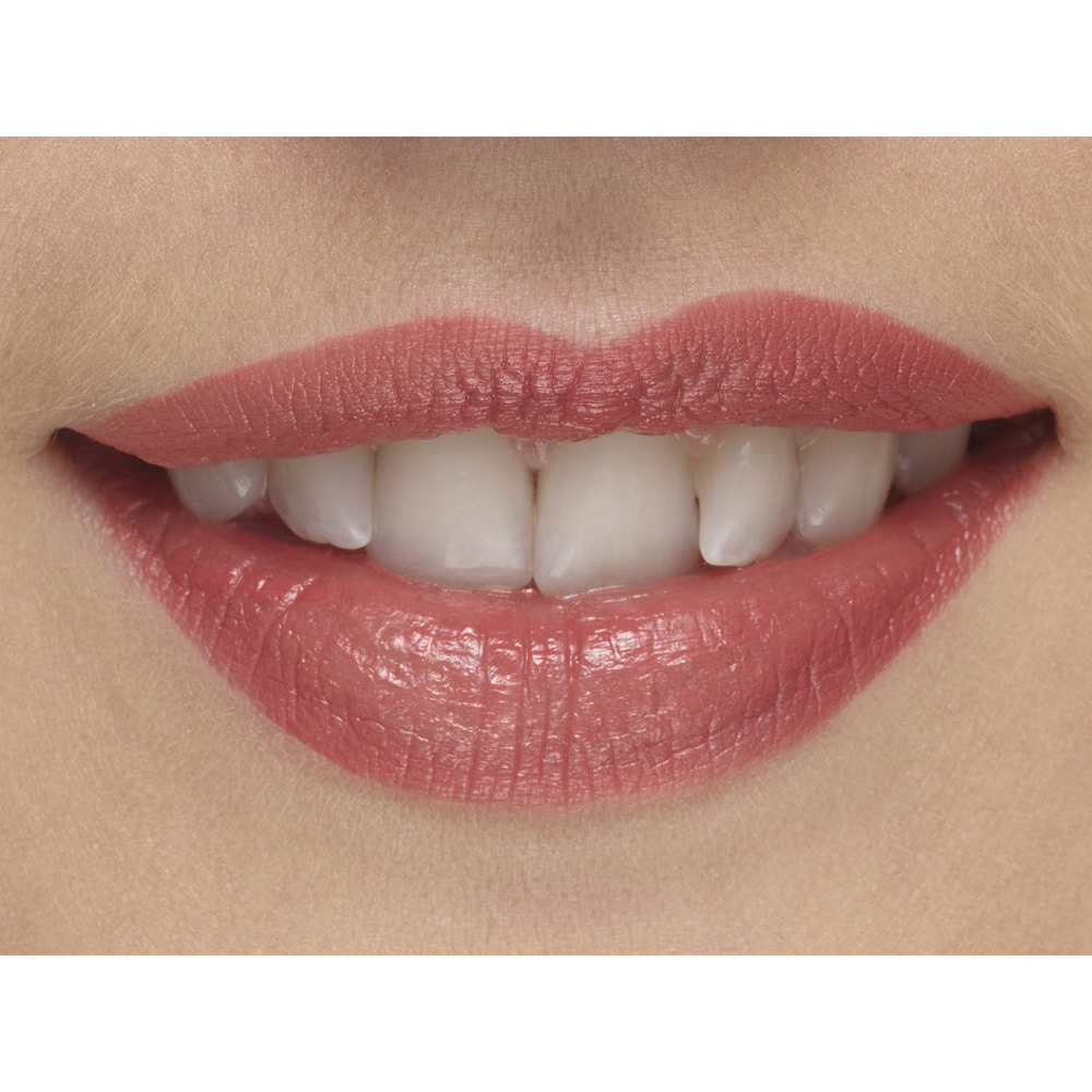 Perfect Moisture Lipstick