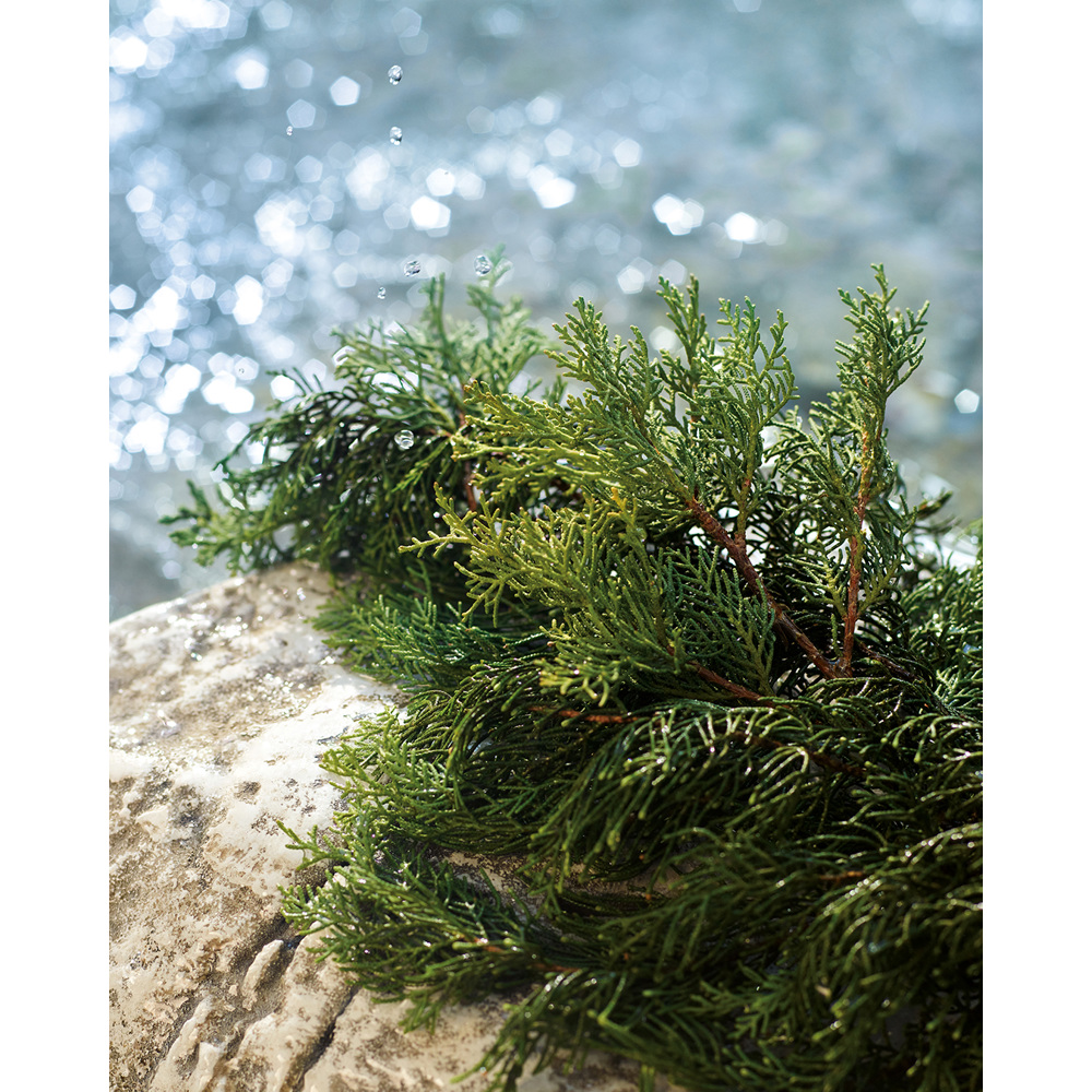 Light Blue Pour Homme Summer Vibes, EdT