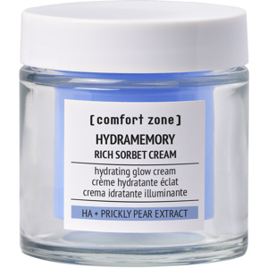 Hydramemory Rich Sorbet Cream