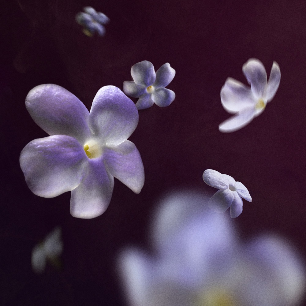 Good Fortune Elixir Intense, EdP