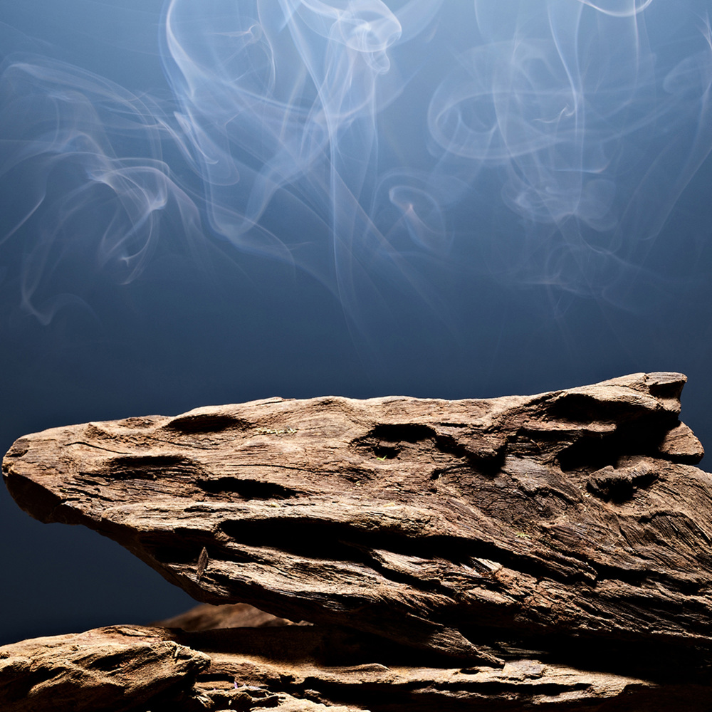 Fierce Cologne Deo Stick, 73g