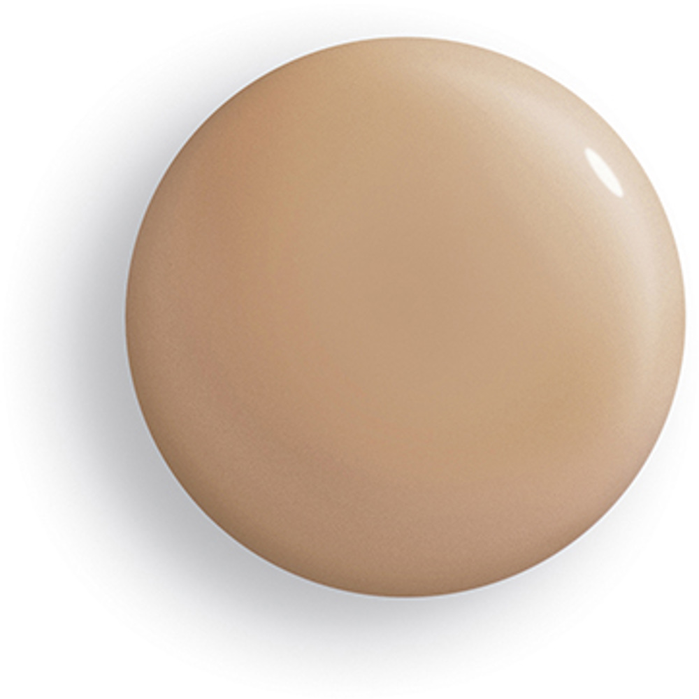 Phyto-Teint Perfection Foundation