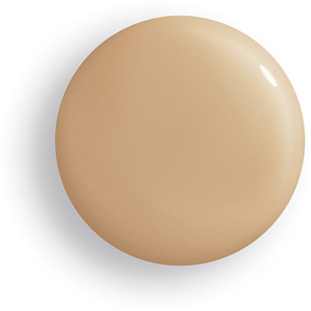 Phyto-Teint Perfection Foundation