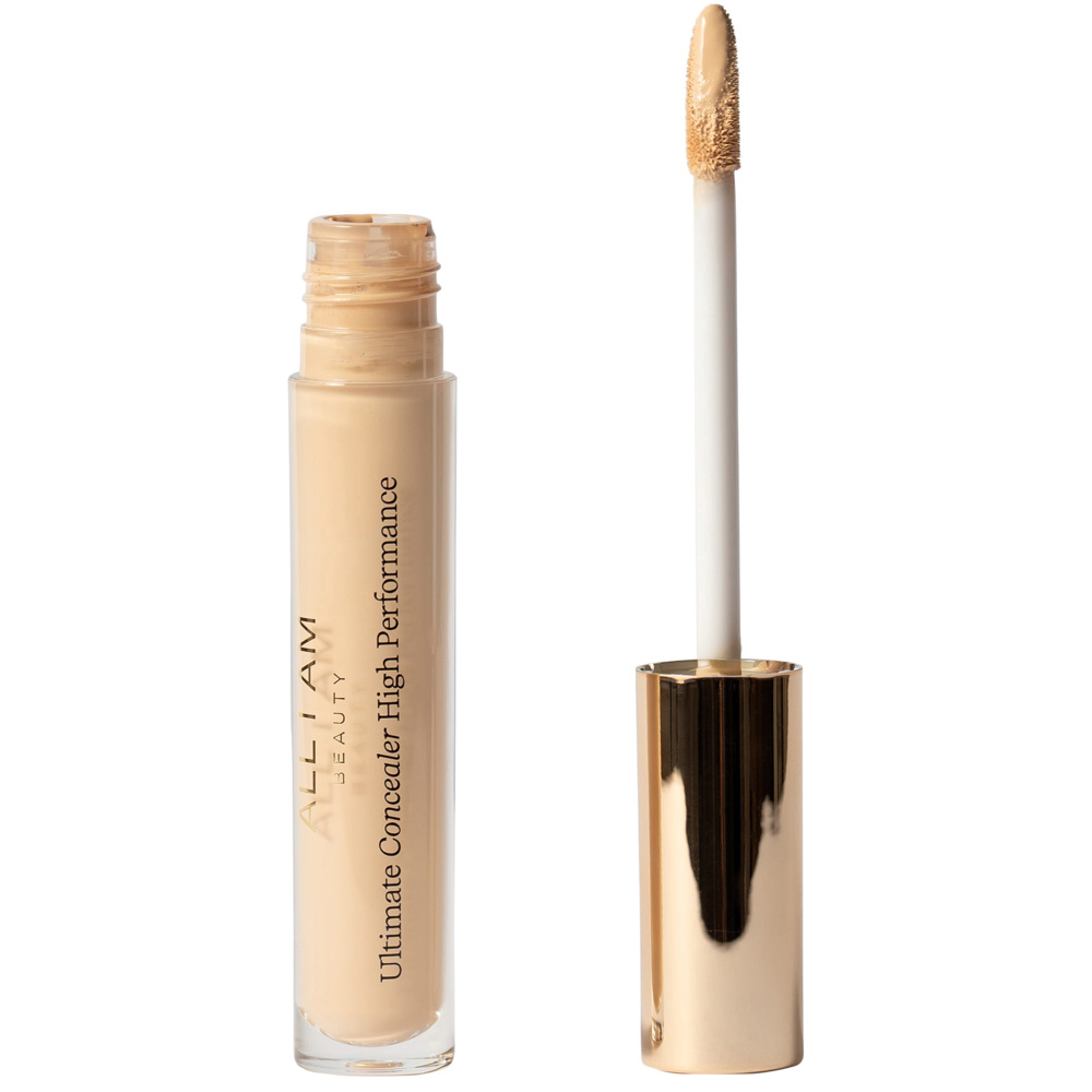 Ultimate Concealer