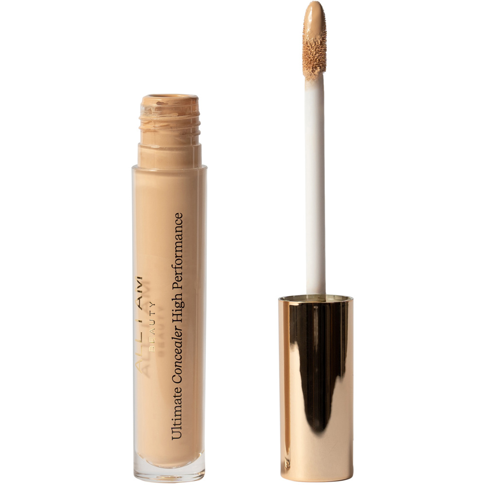 Ultimate Concealer