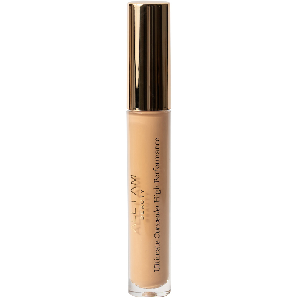 Ultimate Concealer