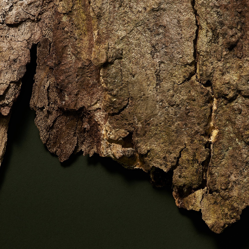 Microbiomic BB Cream SPF20