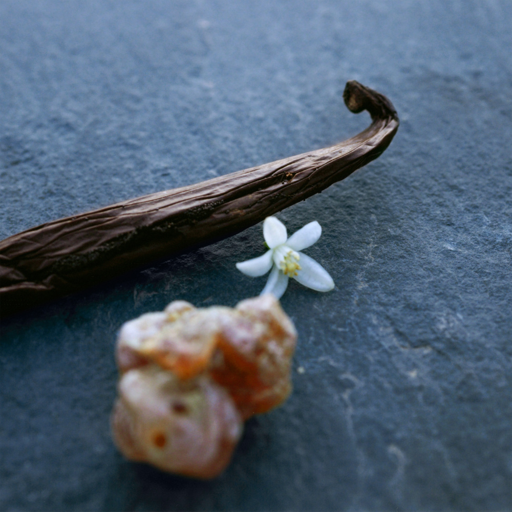 Nomade Nuit d'Egypte, EdP