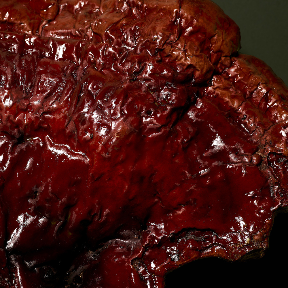 Microbiomic Stress Defense Mushroom Cream, 50ml