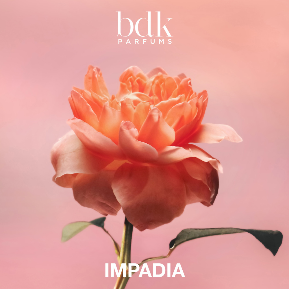 Impadia, EdP