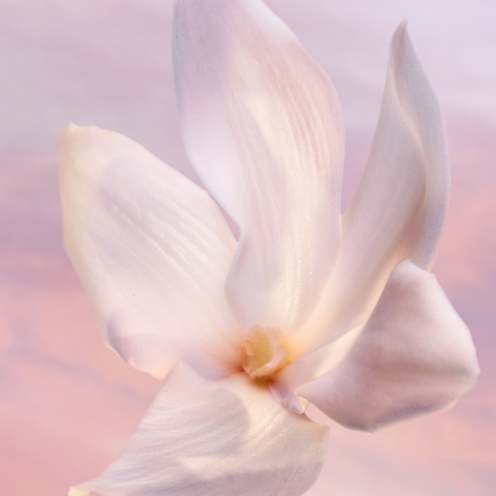 La Vie Est Belle Vanille Nude, EdP 30ml