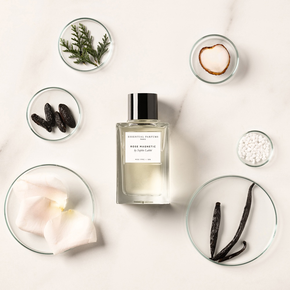 Rose Magnetic, EdP