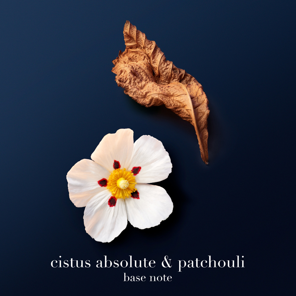 Acqua di Giò Profondo, Parfum