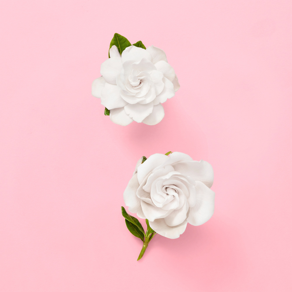 Flora Gorgeous Gardenia, EdP