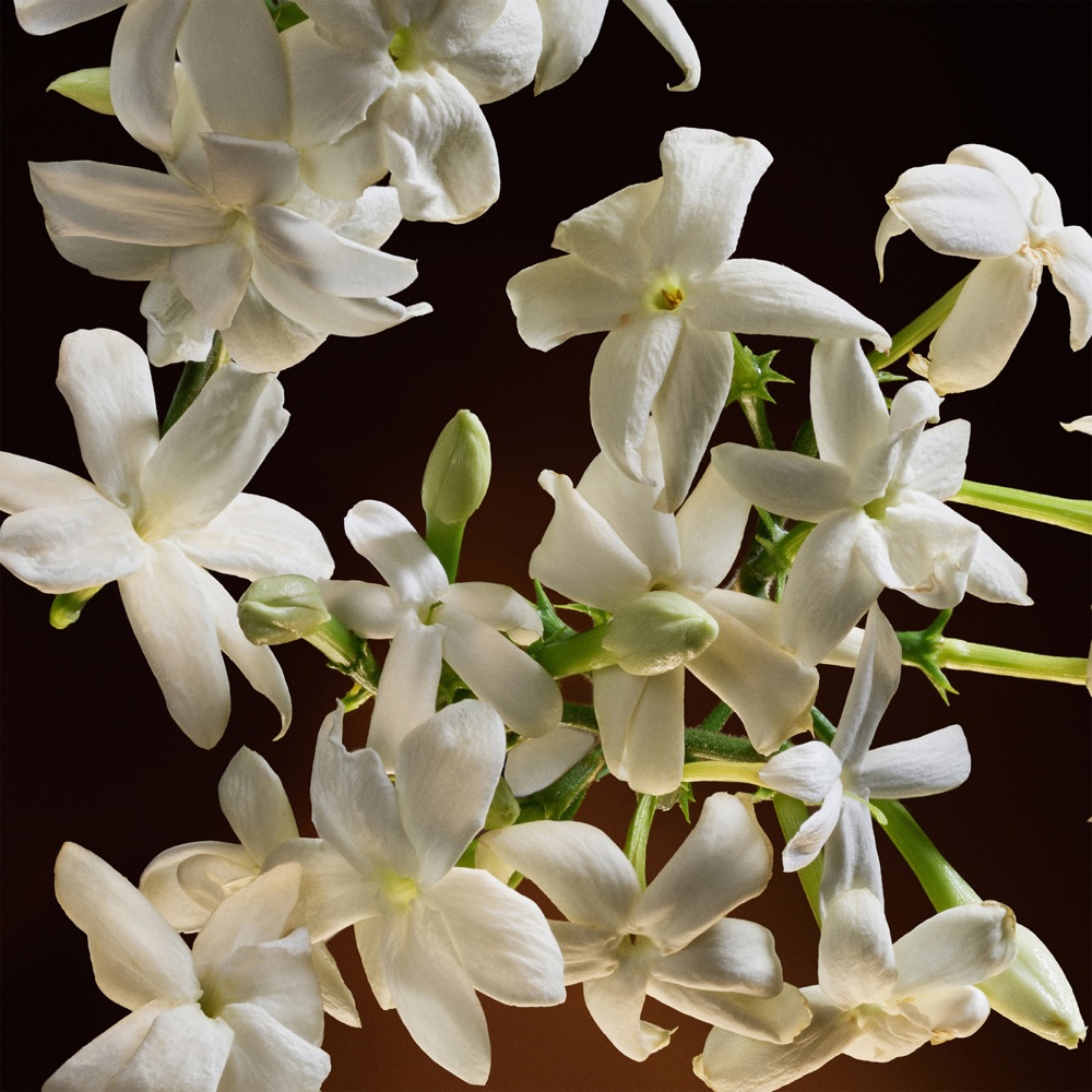 The One, EdP Intense